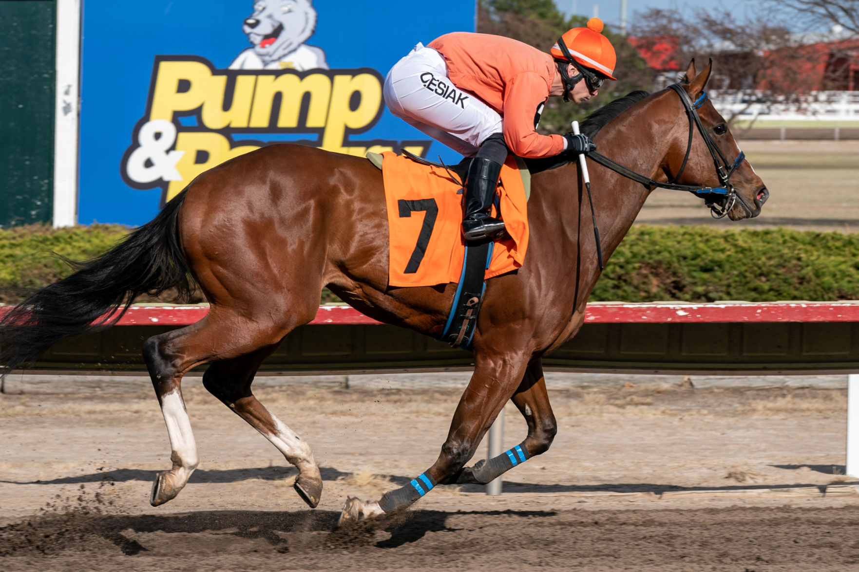 04202020_Fonner_Park_65th_Special_Stakes_EC_011.jpg